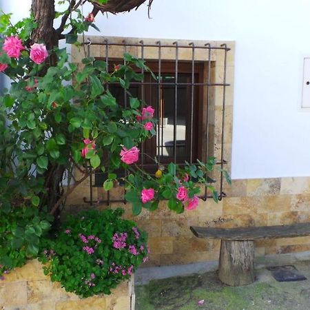 Vivienda Rural Fuente De Los Gusarapos 布伦切尔 外观 照片