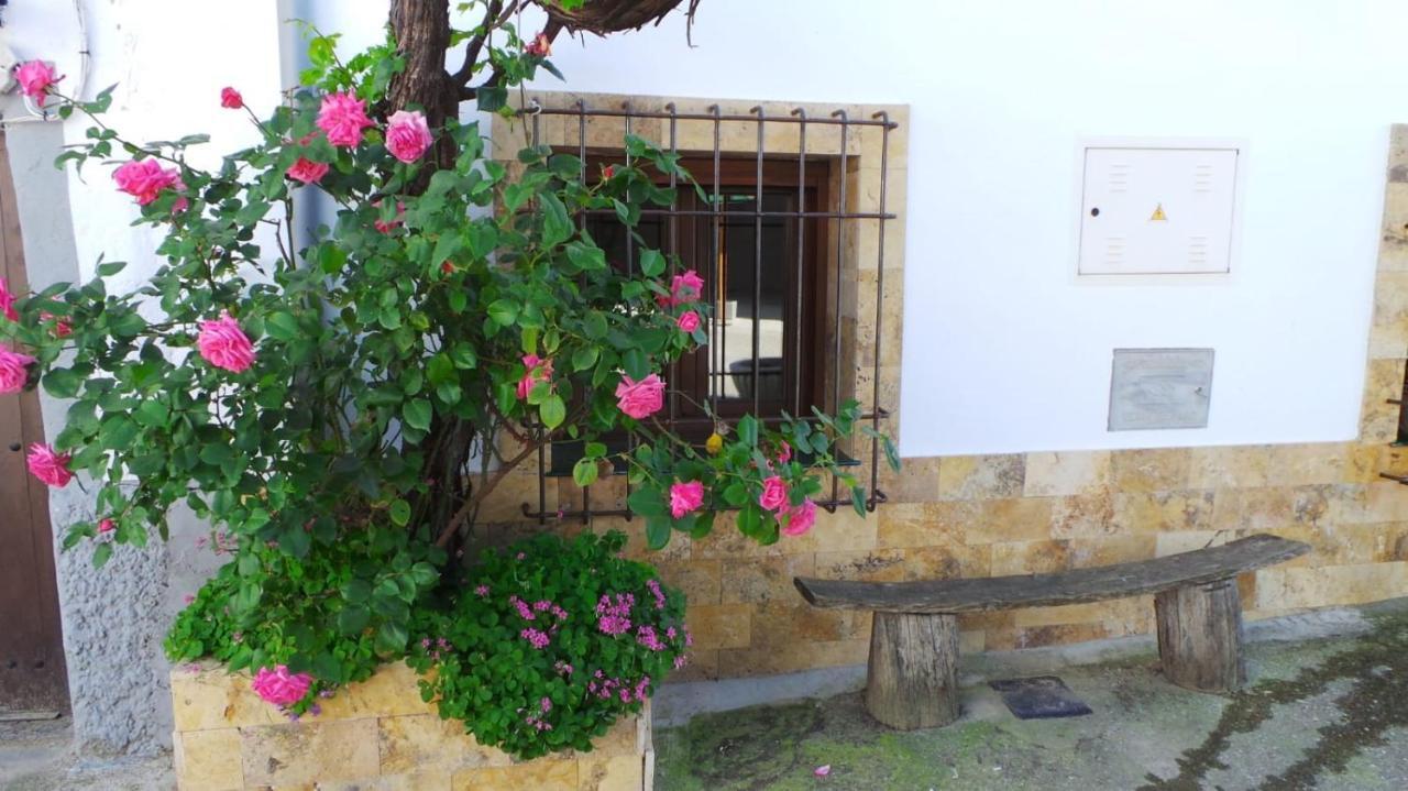 Vivienda Rural Fuente De Los Gusarapos 布伦切尔 外观 照片